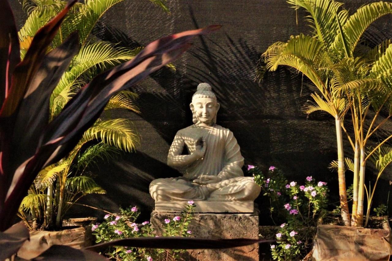 Lotus Sutra Hotel Arambol Kültér fotó